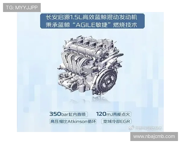 蓝鲸官网下载后如何快速上手配置以提高工作效率